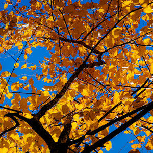 Meet your Posher, Juan sebastian